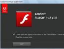 Setting up flash player for browser games