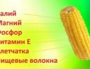 Corn for pregnant women Is it possible to eat corn for pregnant women