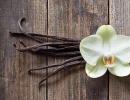 Vanilla beneficial properties benefits and harm to the body