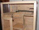 DIY chinchilla cage Dimensions of a DIY chinchilla cage