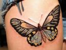 तितली टैटू - लड़कियों और पुरुषों के लिए अर्थ और डिज़ाइन छाया के साथ तितली टैटू के लिए स्केच